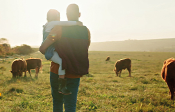 Vanhempi lapsi sylissään katsoo laiduntavaa karjaa pellolla