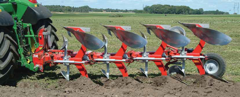 Agrolux aurat
