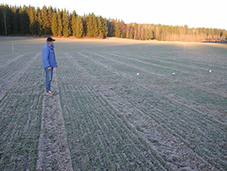 Skagenilla on mahdollisuus päästä erinomaisiin satoihin