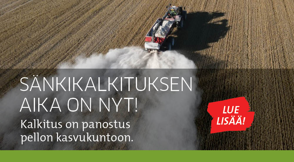 Sänkikalkitus
