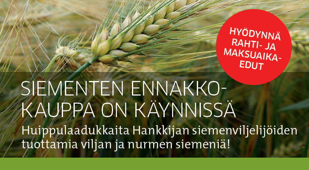 Siementen ennakkokauppa