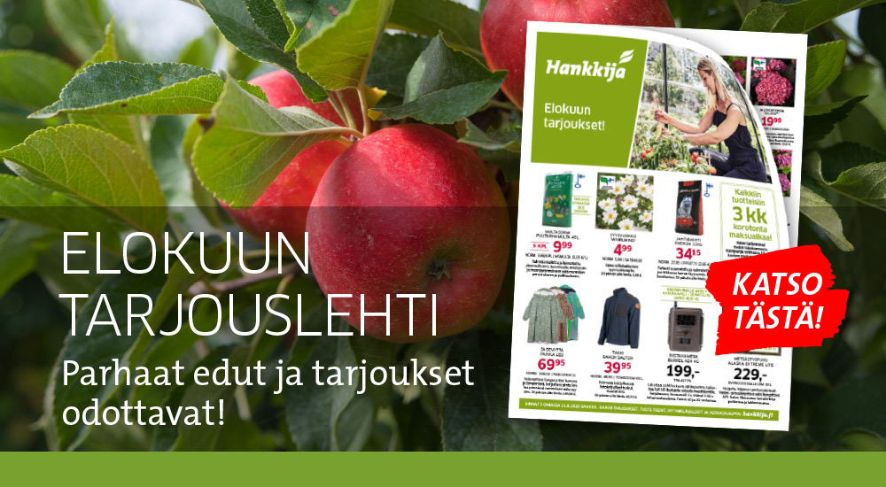 Elokuun tarjouslehti