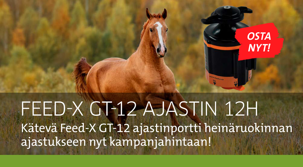 Feedex ajastin 092026