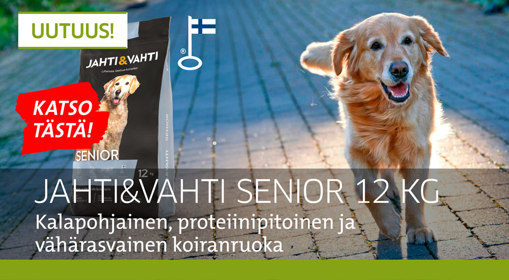 JV TV 052026