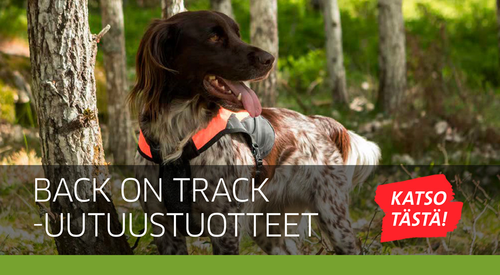 Bot uutuudet 082026