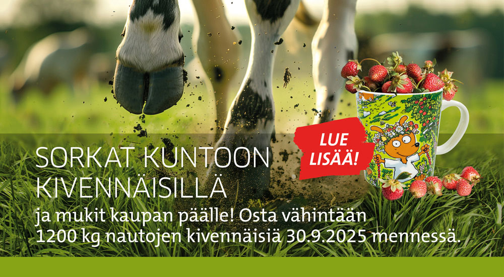 Nautojen kivennäiset - Koiramäki-muki - kampanja