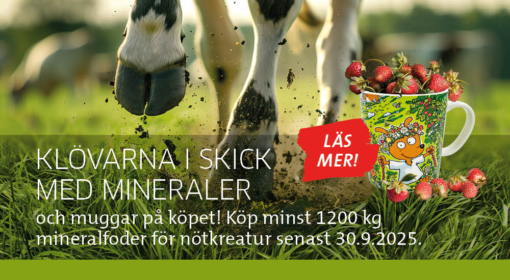 Nautojen kivennäiset - Koiramäki-muki - kampanja - RUOTSI