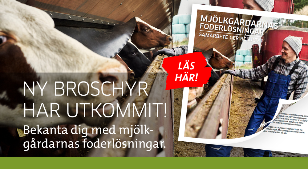 Ny broschyr har utkommit - Bekanta dig med mjölkgårdarnas foderlösningar