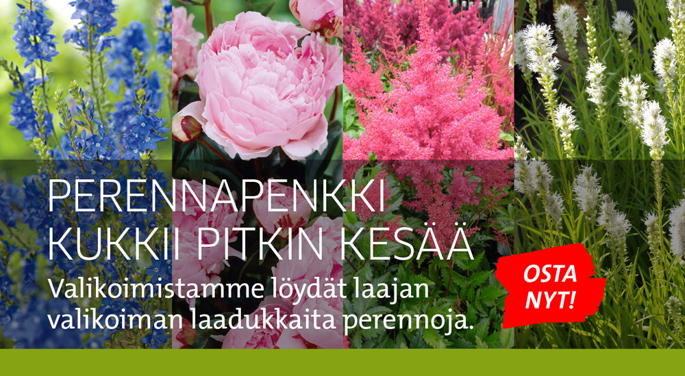 Perennapenkki