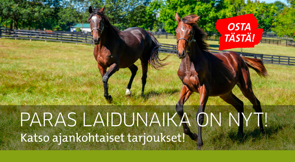 Aitaustarvikkeet 072026
