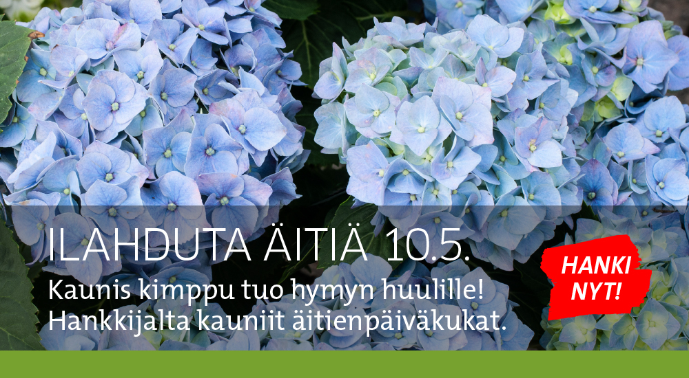 Äitienpäiväkukat