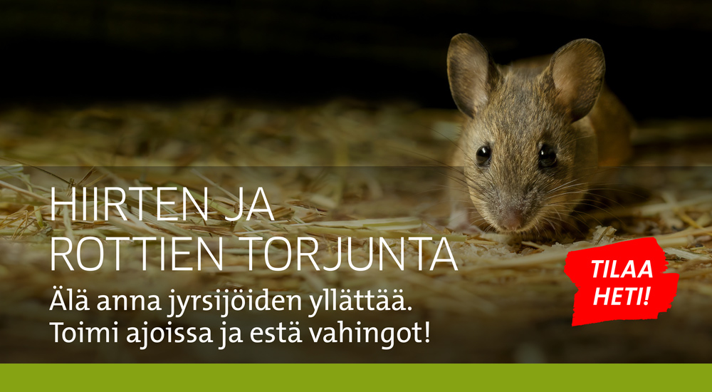 Hiirten torjunta