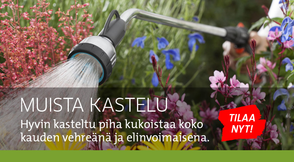 Muista kastelu