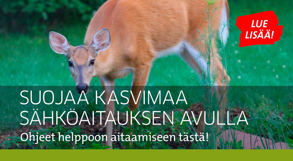 Kasvimaan suojaus aitaamalla
