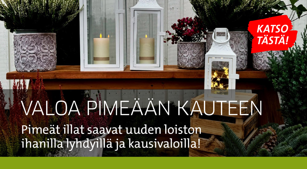 Lyhdyt ja kausivalot