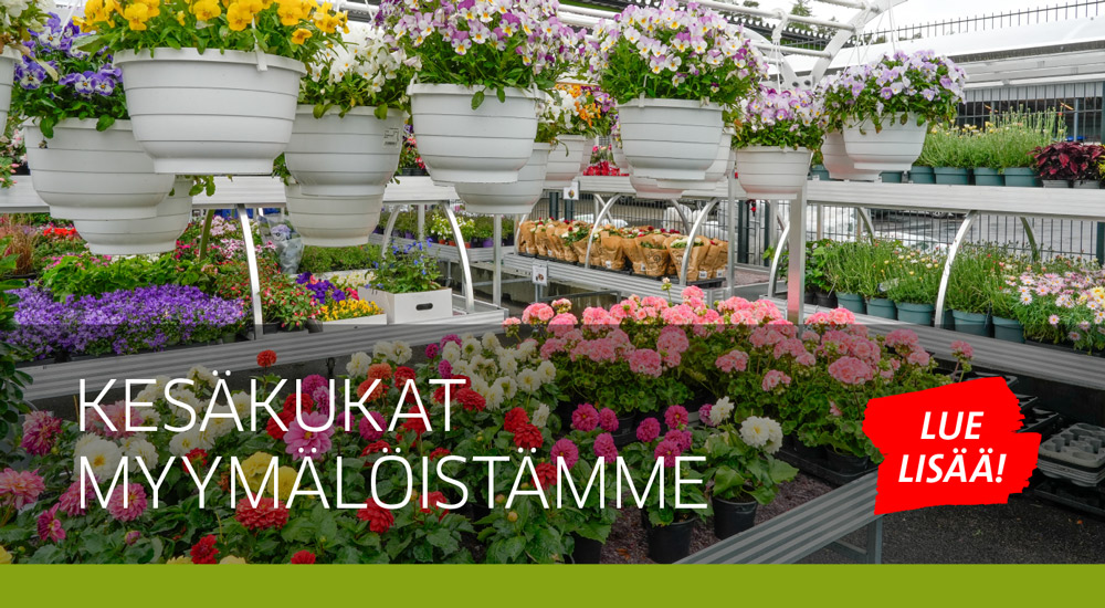 Kesäkukat
