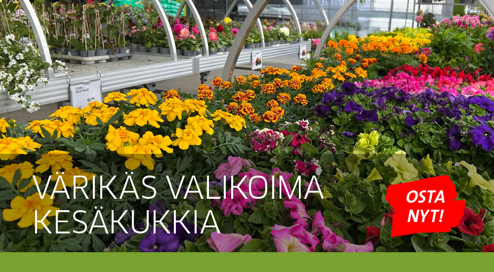Kesäkukat