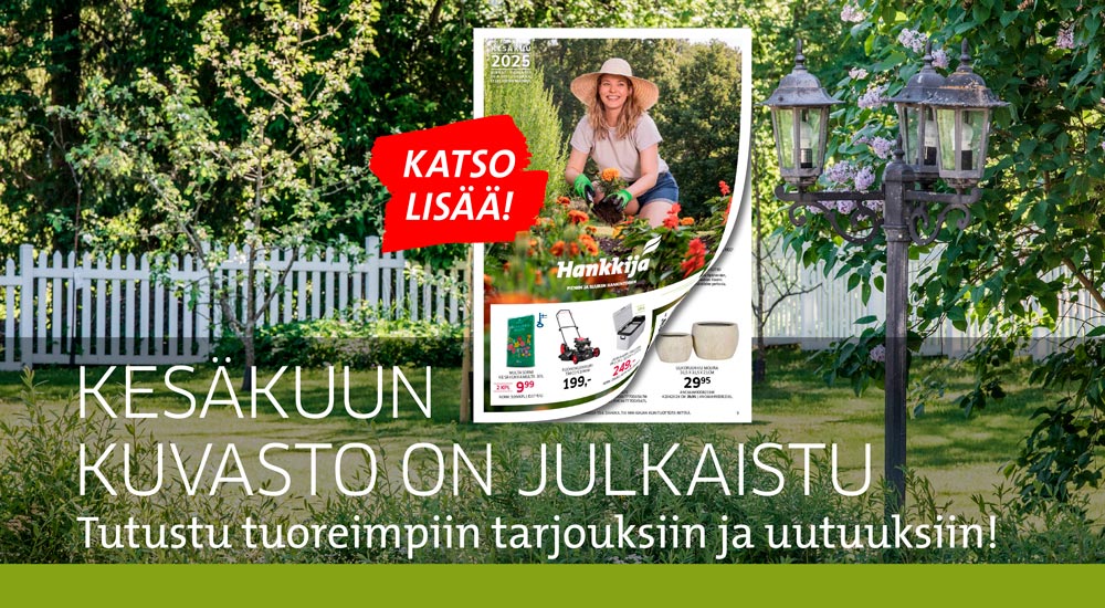 Kesäkuun kuvasto 2025