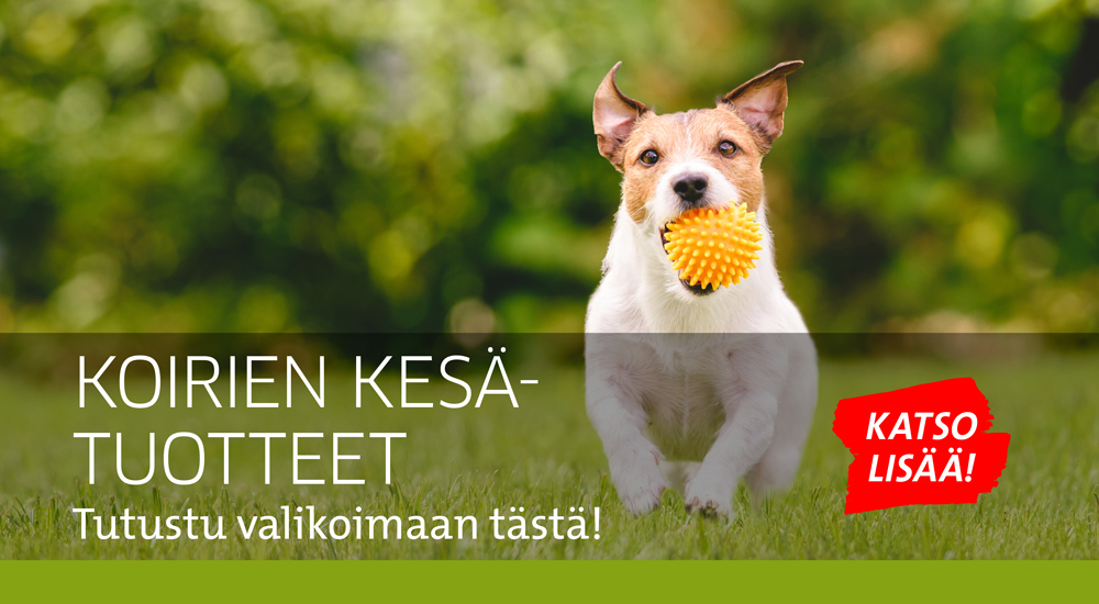 Koirien kesätuotteet