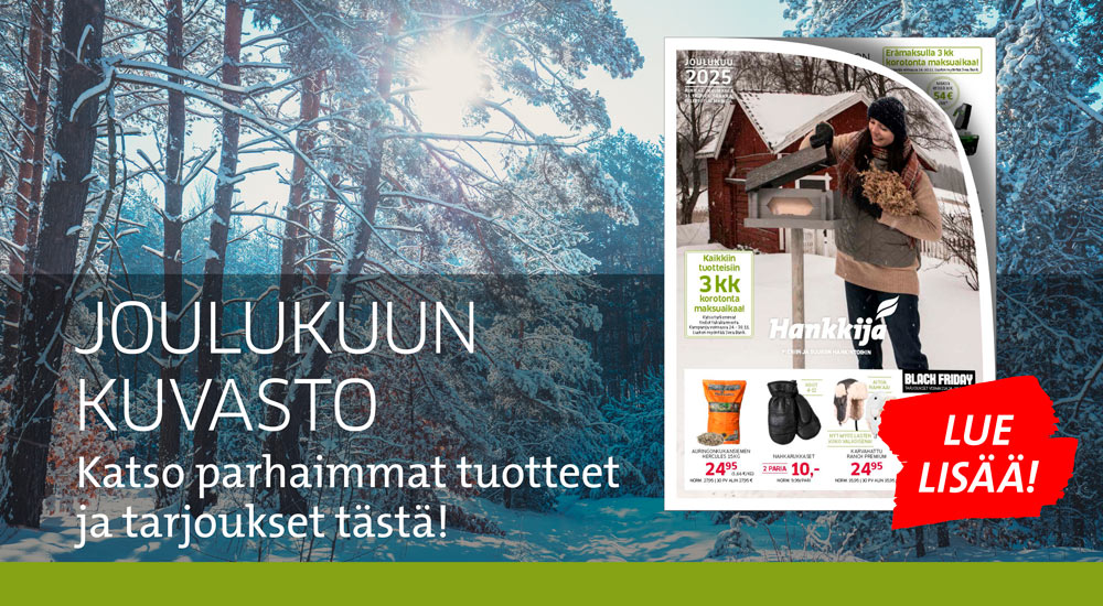 Jouluuun kuvasto 2025