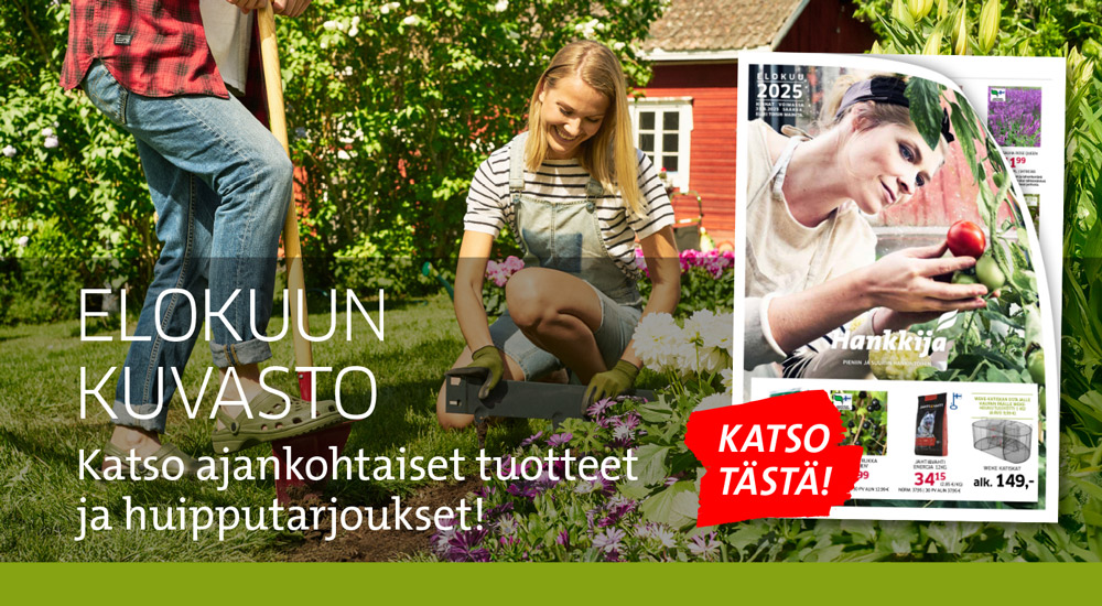 Elokuun kuvasto kuluttaja
