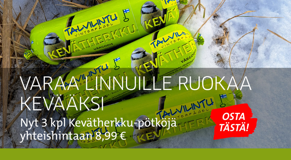 Lemmikki Oy Kevätherkku kampanja 022026