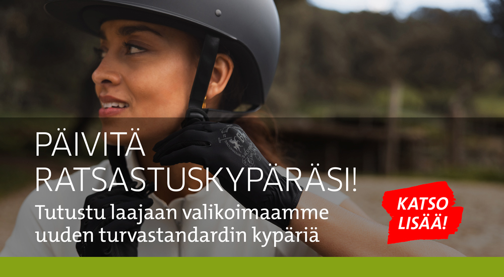 Turvastandardin paivitys 032025