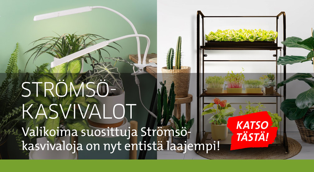 Strömsö kasvivalot