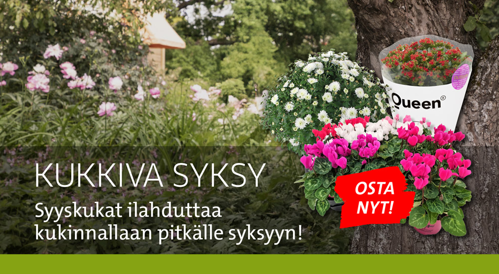 Syyskukat