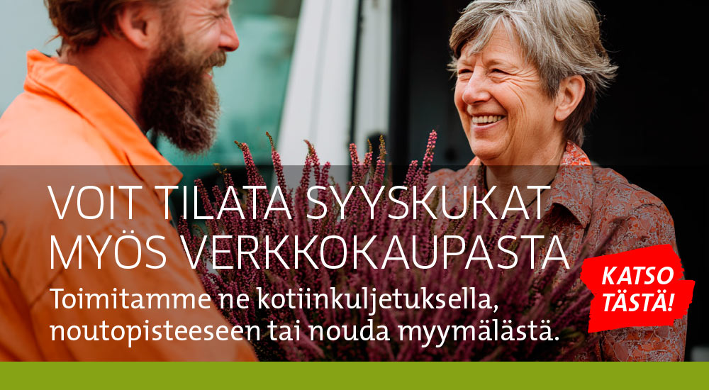 Syyskukat verkkokaupasta