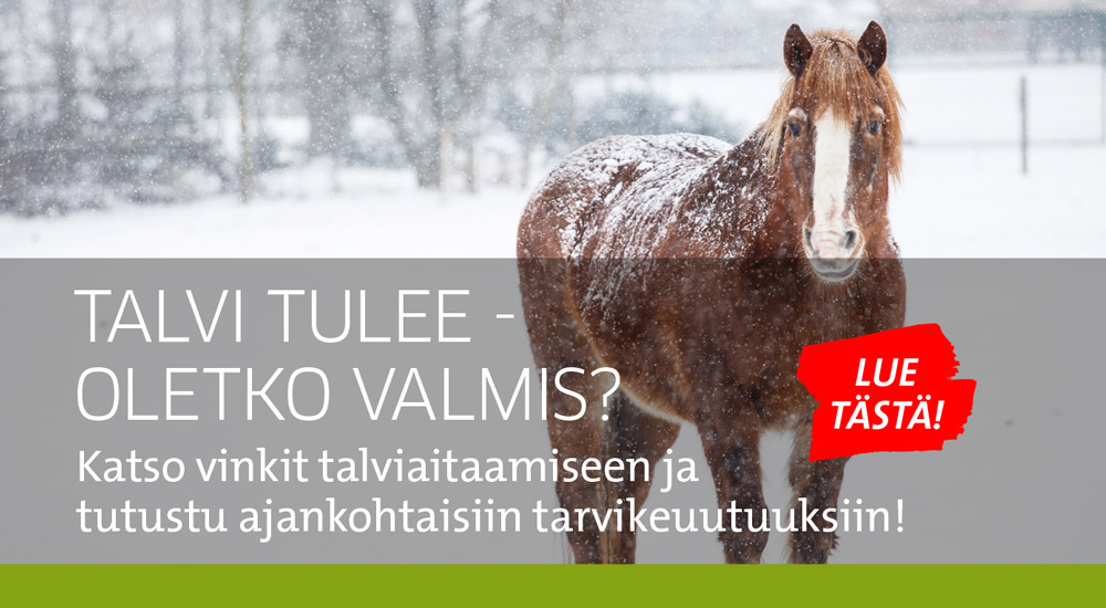 Talviaitaaminen