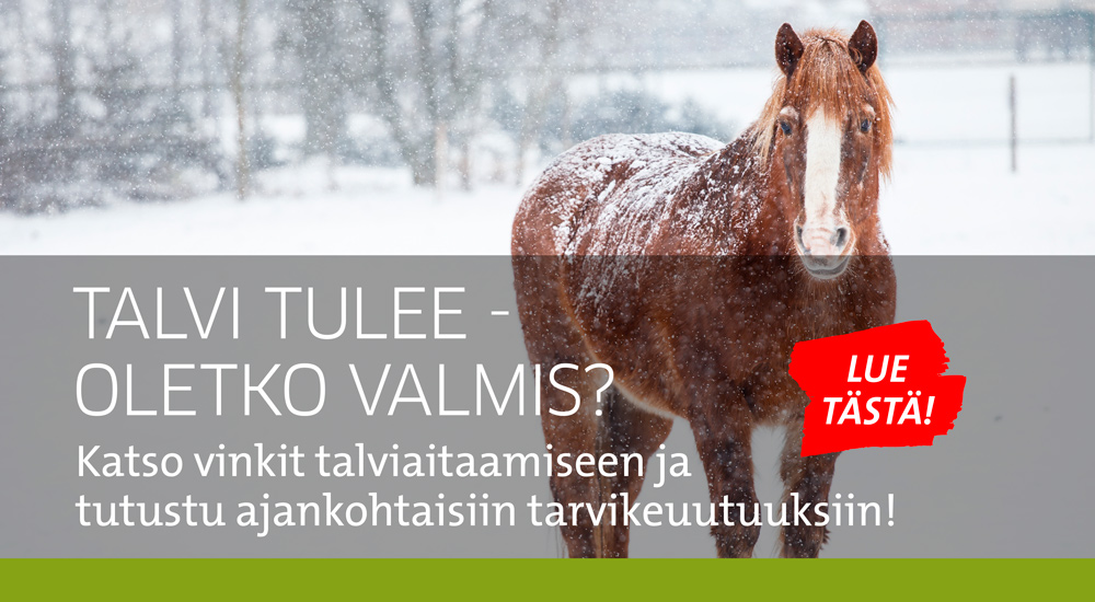 Talviaitaaminen 102026