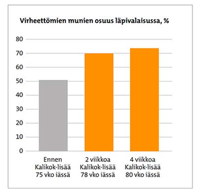 Taulukko virheettömien munien osuudesta läpivalaisussa