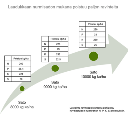 Graafi, jossa kerrotaan laskelma ravinnepoistumasta N, P, K ja S-pitoisuuksilla.