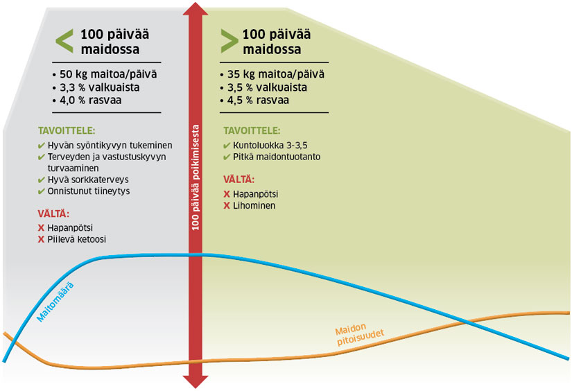Eri tuotantovaiheet