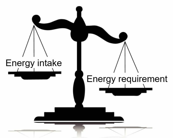En våg om energibalansen