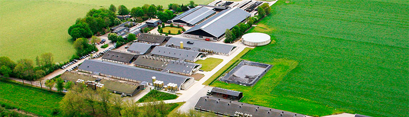 bild: www.Schothorst.nl