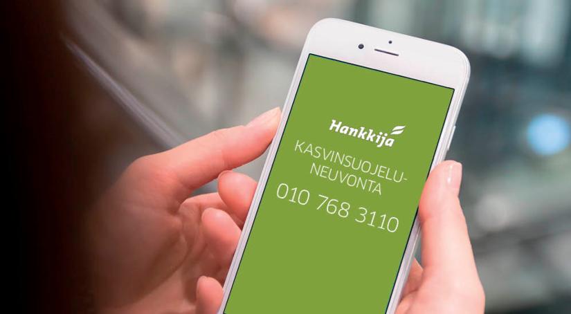 Kasvinsuojeluneuvonta