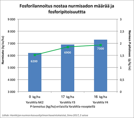 Fosforilannoitus nostaa nurmisadon määrää ja fosforipitoisuutta, graafi