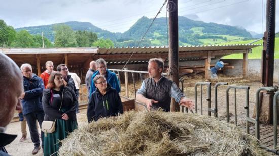 Schweiz, mjölkproduktionen