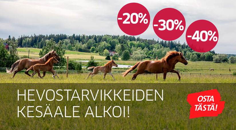 Hevostarvikkeiden kesäale on alkanut, kuvituskuva. Suomenhevoset juoksemassa laitumella.