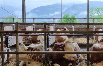 Schweiz, mjölkproduktionen