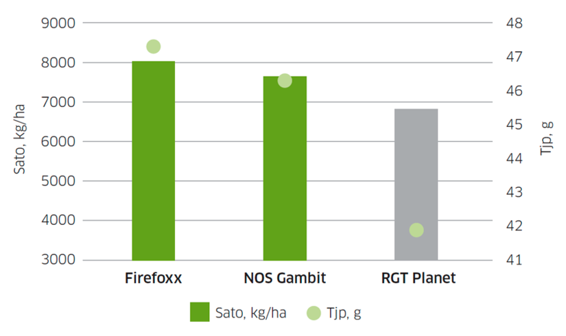 Kaksitahoisten ohrien sato