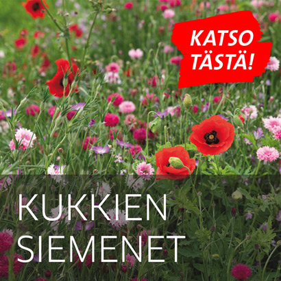 Kukkaketo ja teksti kukkien siemenet, katso tästä.