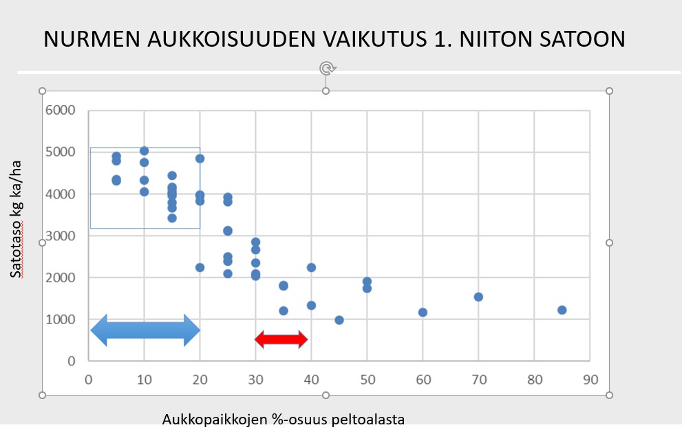 Taulukko nurmen aukkoisuuden vaikutuksesta