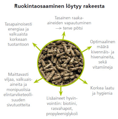 Ruokintaosaaminen löytyy rakeesta