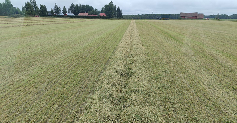 Valmiiksi karhotettu sato ajon jälkeen.