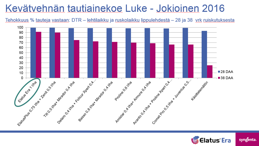 Kevätvehnän tautiainekoe LUKE - Jokioinen 2016