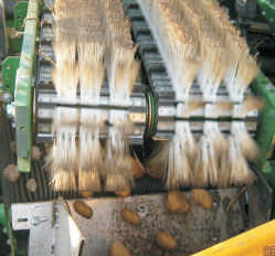 WM Kartoffeltechnik erottelulaitteisto