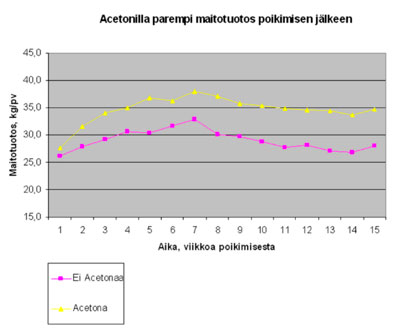 Acetona-rehuilla parempi maitotuotos poikimisen jälkeen